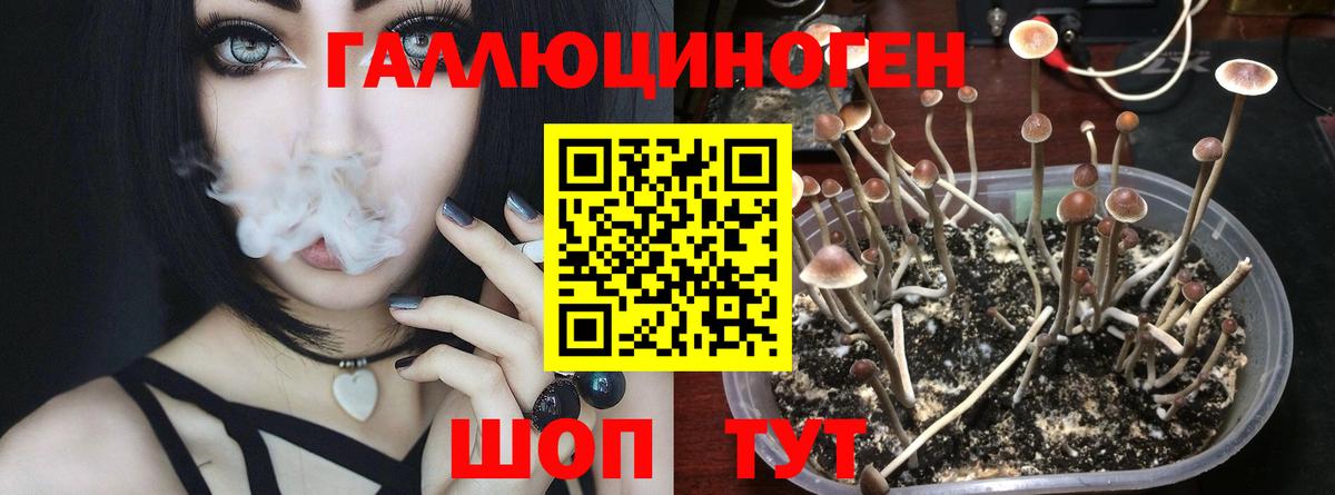 Галлюциногенные грибы GOLDEN TEACHER Тара